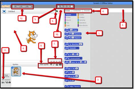 scratch test quizlet